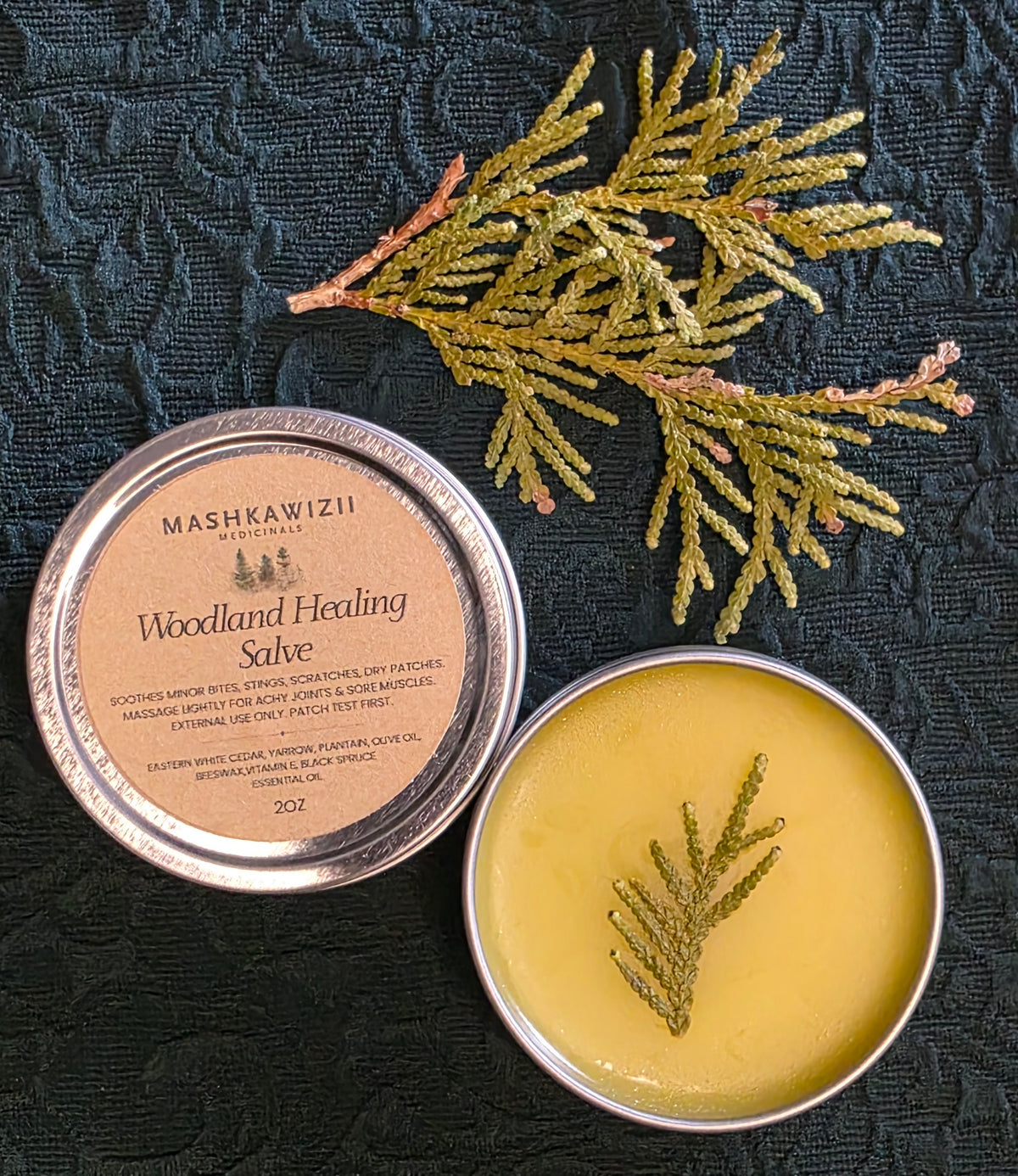 Woodland Healing Salve 2oz tin