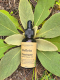 Mullein Tincture 30mL